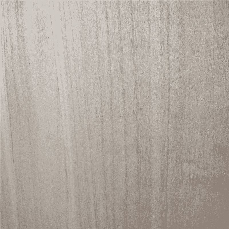 c_paulownia 3.png