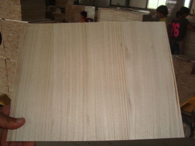 Taekwondo/Karate Trainingsboards