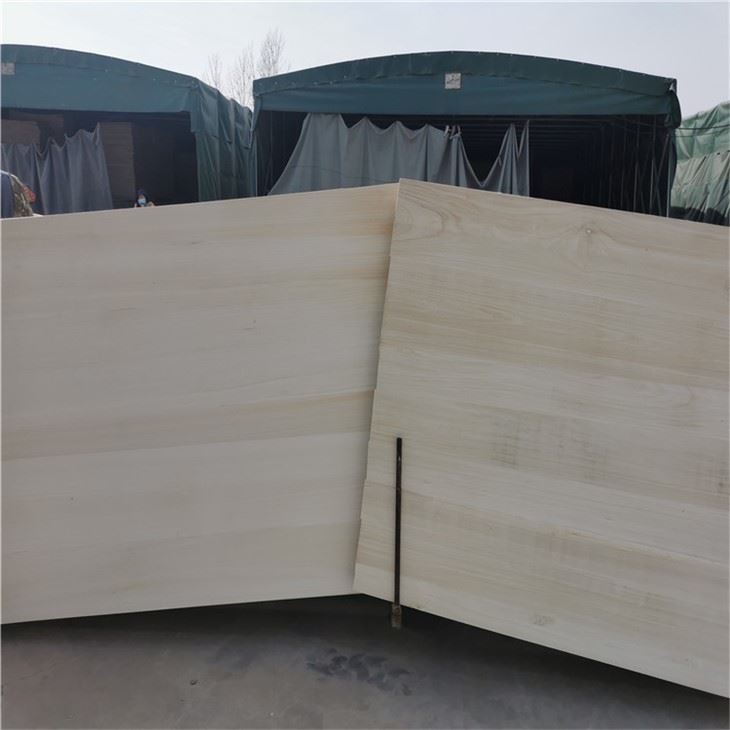 Kantenverleimte Paulownia-Platten